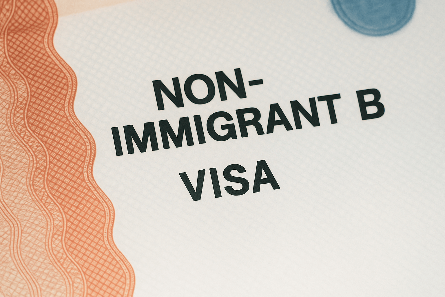 Non-Immigrant B VISA